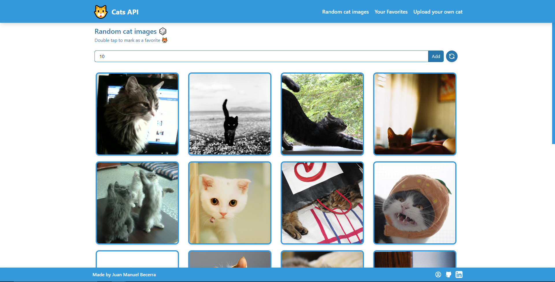 Cat API